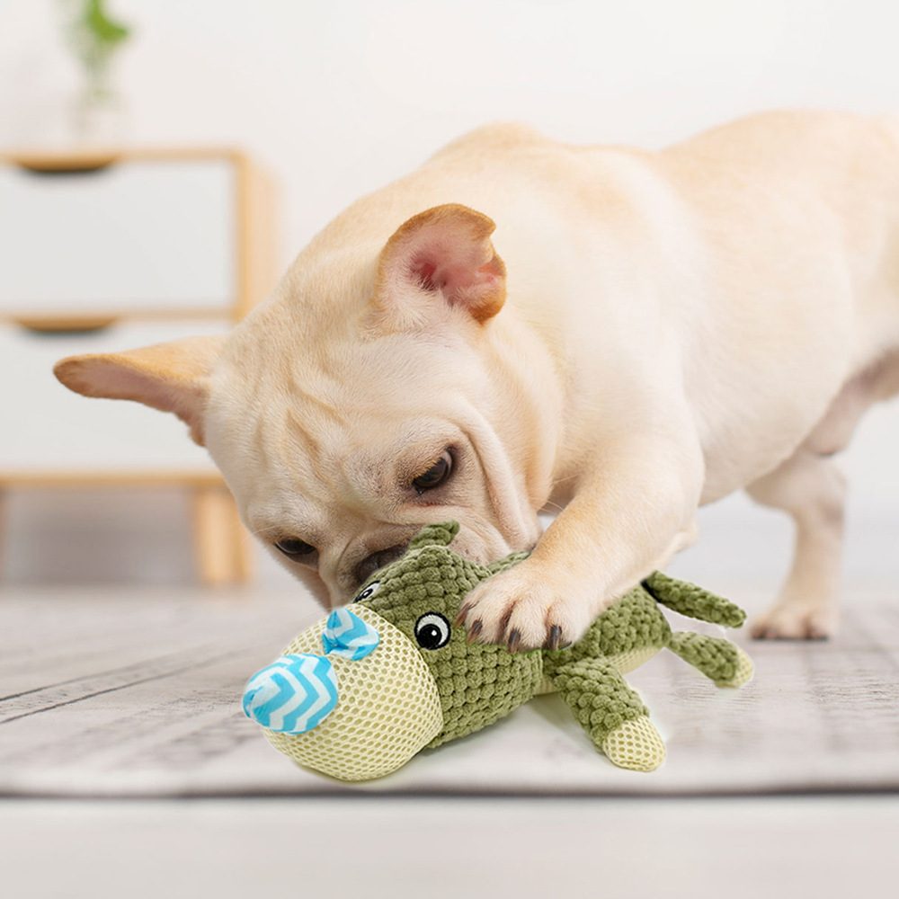 Soft Wear-Resistant Molar Entertainment Toys