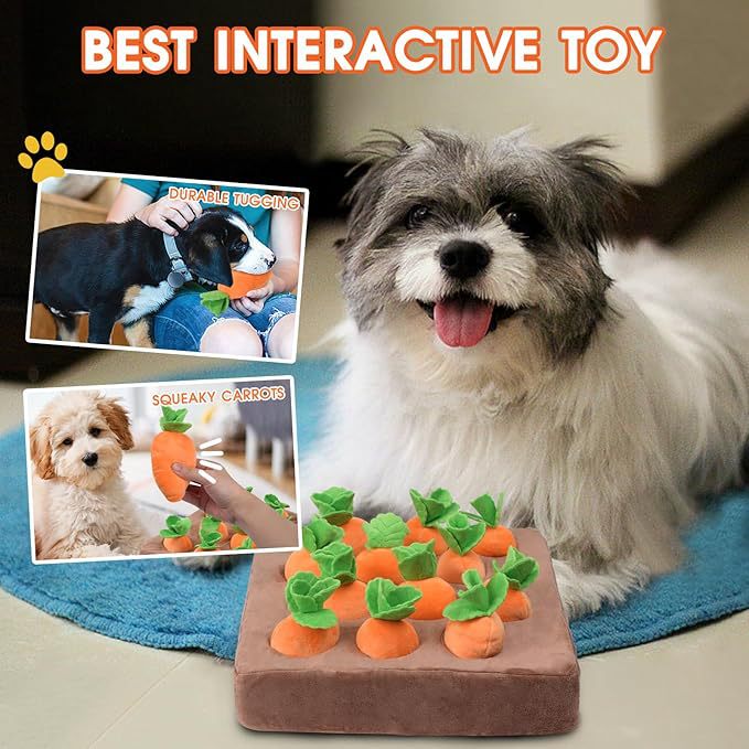 Squeaky Carrot Interactive Pet Toy
