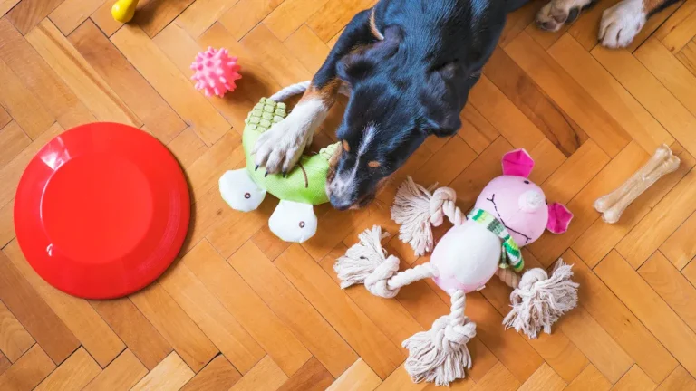 Wholesale Plush Dog Toys: Trial Order to Container Pricing
