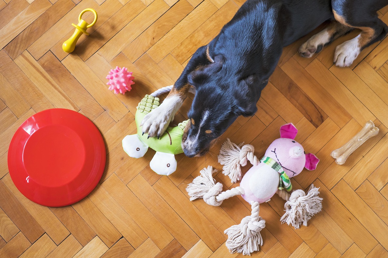 Custom Squeaky Dog Toys OEM Overview