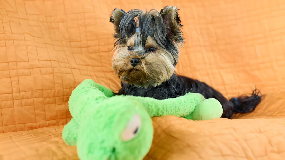 Why Choose Eco Friendly Squeaky Dog Toys
