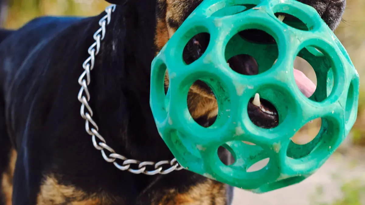 Best dog toys for durability