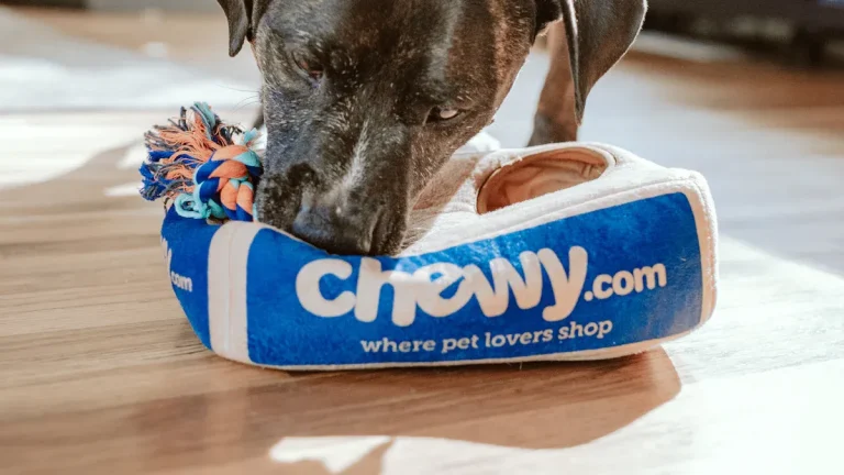 Dog Toy Packaging Custom Choices for Squeaky Toys