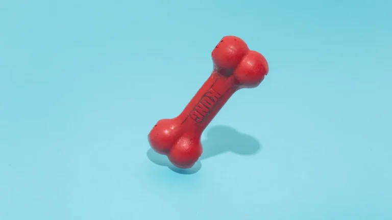 Vinyl vs Latex Squeaky Dog Toys: Material Comparison