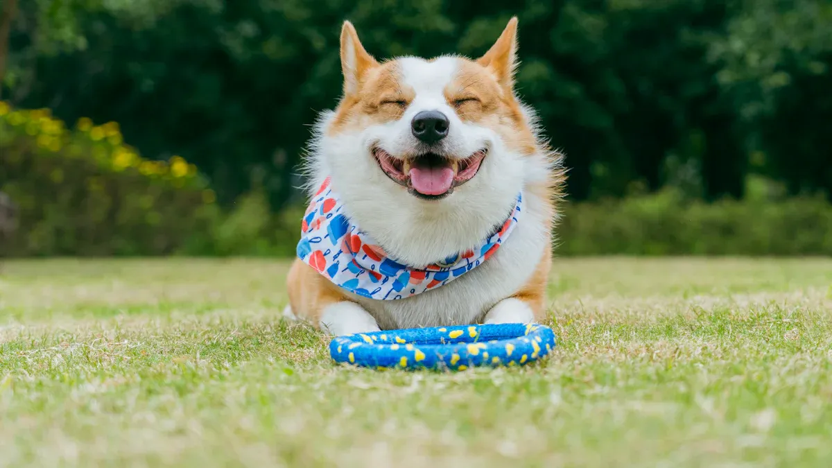 Benefits and Safety of Squeaker Toys
