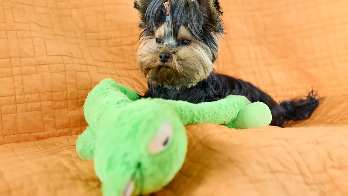 What are replaceable squeaker dog toys