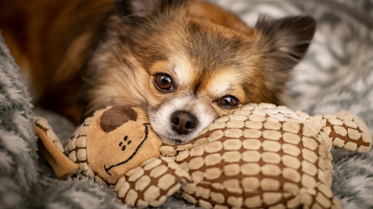 Safety and Managing Destructive Play