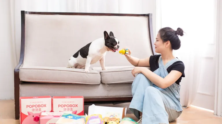 RFQ template for pet products