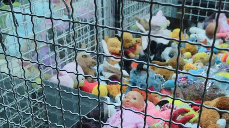 Step by Step Guide to Finding Squeaky Dog Toy Suppliers for Amazon FBA