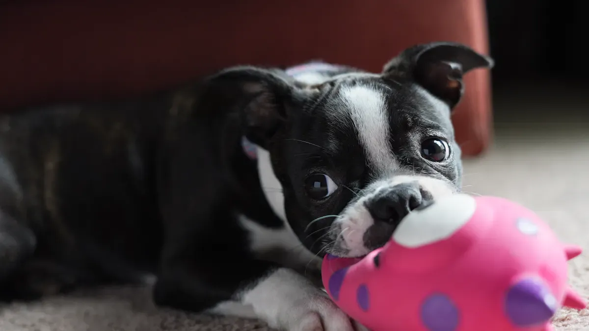 Squeaky vs Non Squeaky Dog Toy: Market Comparison