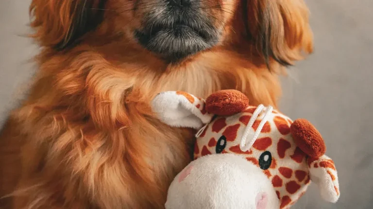 Plush dog toy filling material