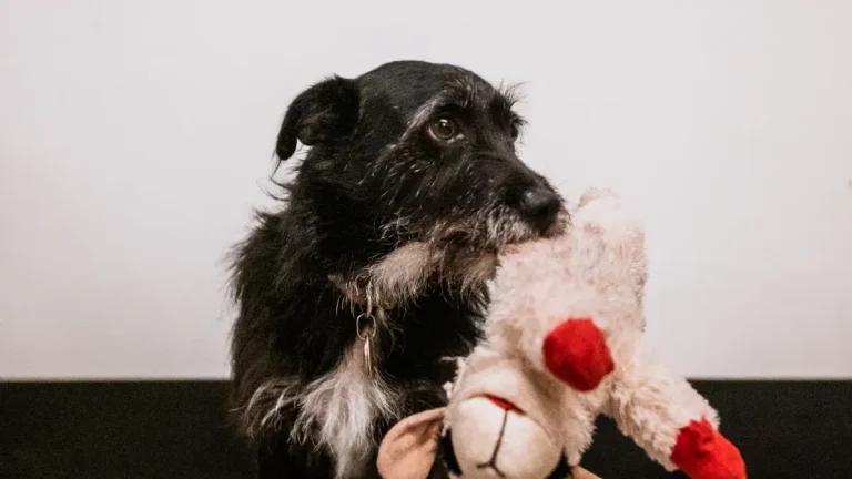 Eco Plush Dog Toys made from recycled PET bottle material