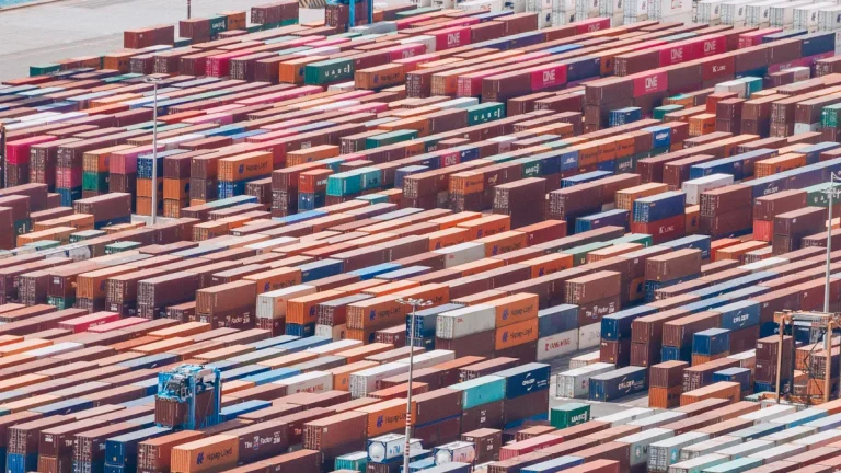 Pet Importer Risk Management Strategies for a Safer Trade