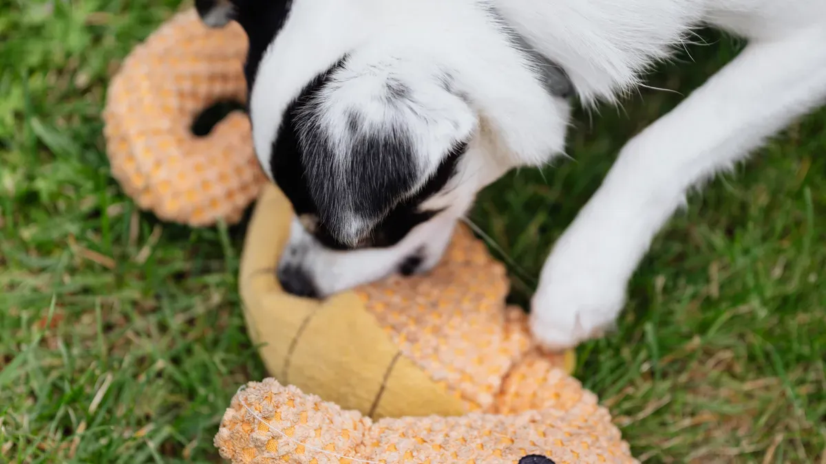 What Makes a Plush Toy Tough