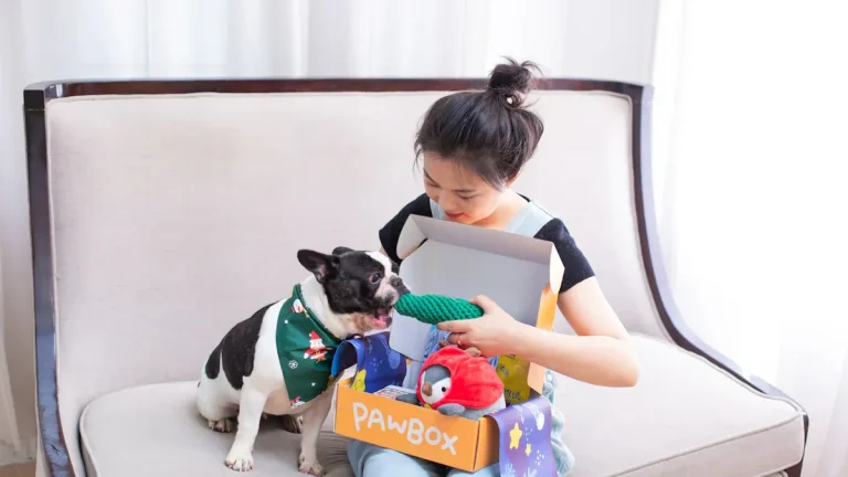 E-Commerce vs Brick-and-Mortar Pet Distribution Strategy