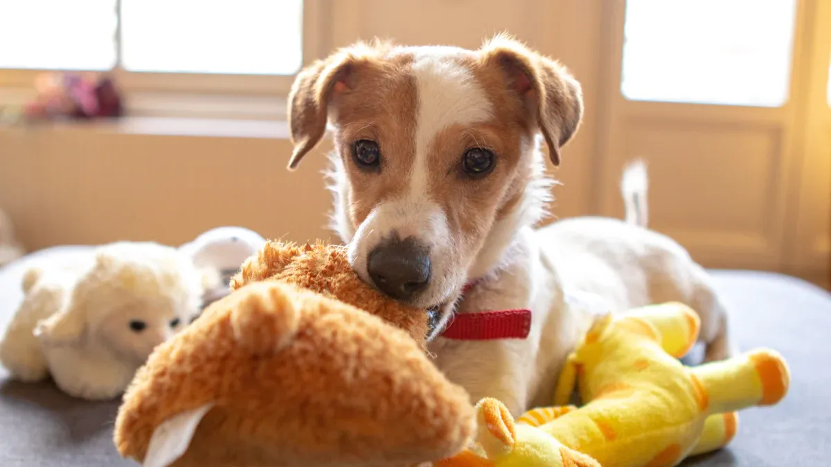 Custom Plush Dog Toy Use Cases