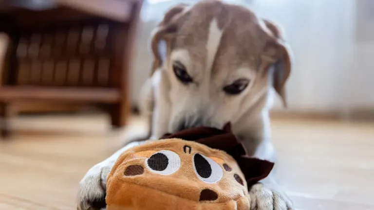Multi-Squeaker Dog Toys: Innovation from Chinese Factories