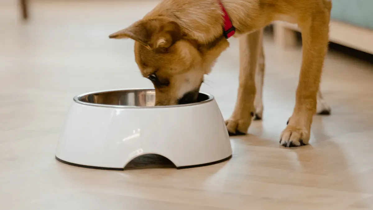 Key Audit Areas for Pet Products