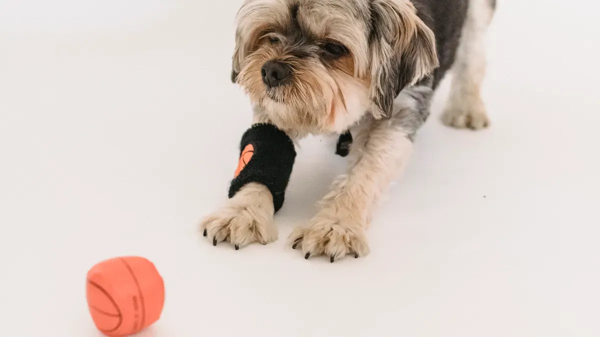 Material selection for LED dog balls