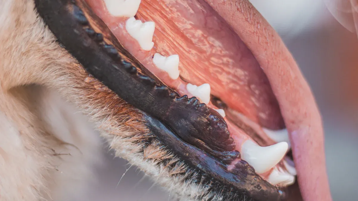 Dental health benefits and tips