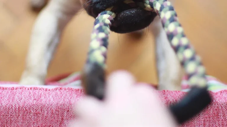 Wholesale Dog Rope Toys: Cotton vs Polyester Comparison