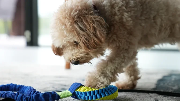 How to Choose the Best Knots and Lengths for Custom Dog Tug Toys