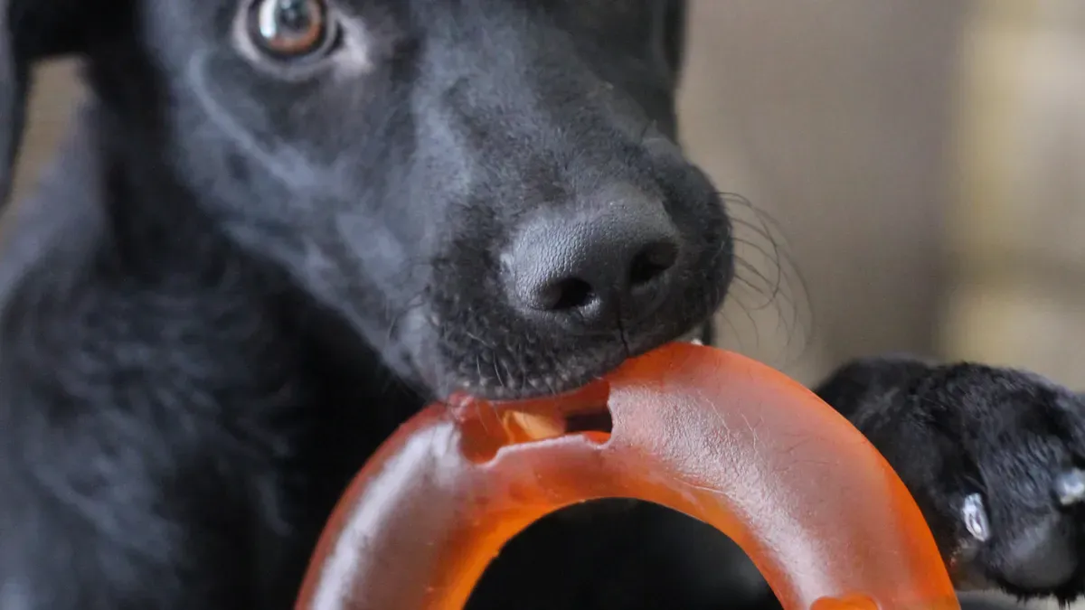 Power Chewer Needs & Risks