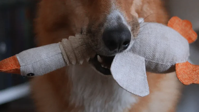 Quacking Duck Plush Dog Toys: Sound Module + Eco Material Engineering