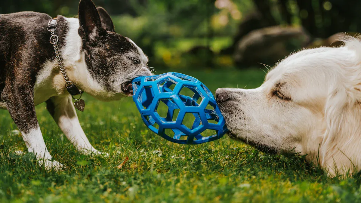 Dog ball size by breed chart