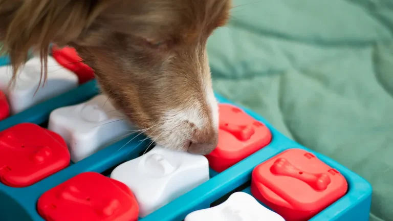 Slow Feeder Puzzle Toys: Manufacturing Innovation
