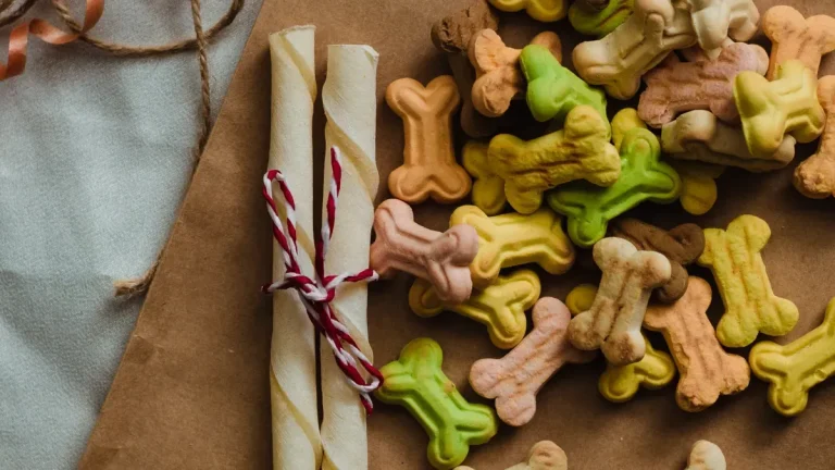 Flavored dog chew toy manufacturing with bacon and peanut butter