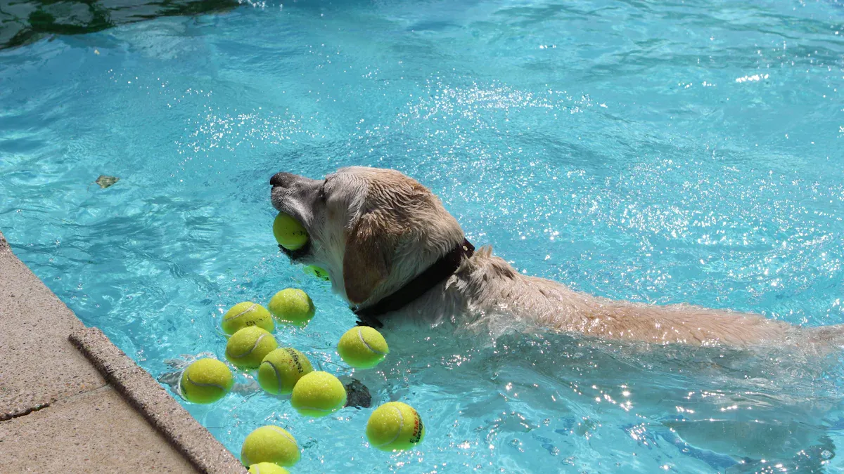Tennis Balls and Dogs