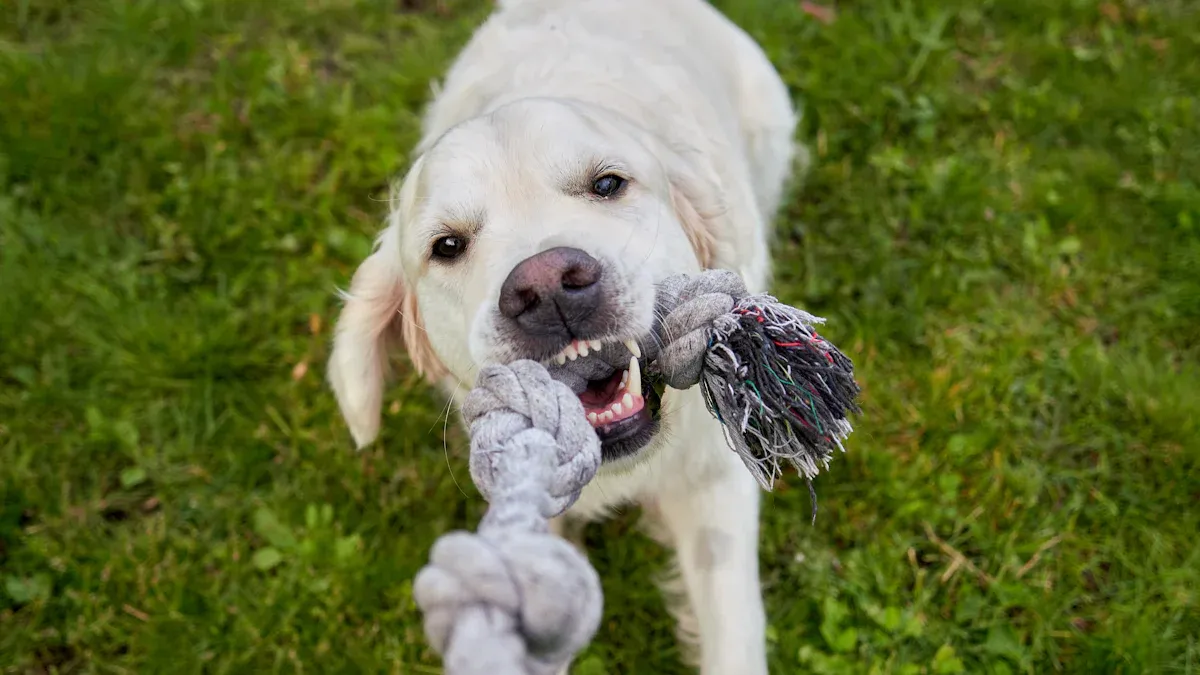 Benefits of Rope Ball Dog Toy Combo