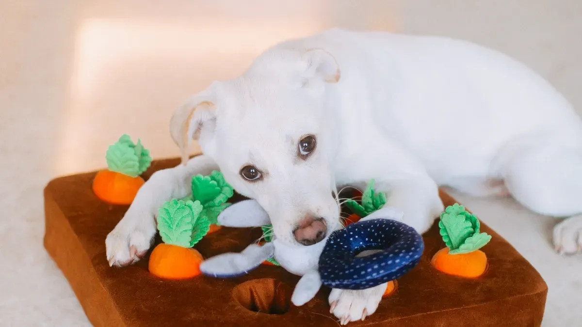 Dog Chew Toy Manufacturing Process Steps