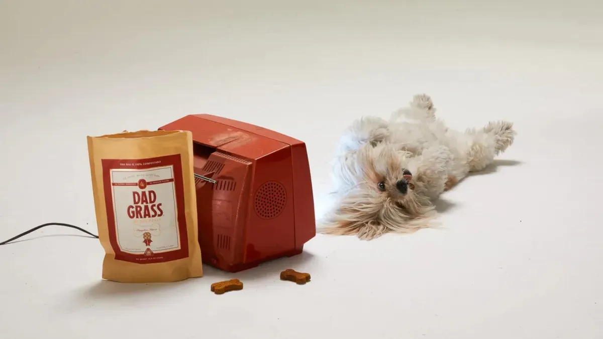 Dog toys: shipping and delays