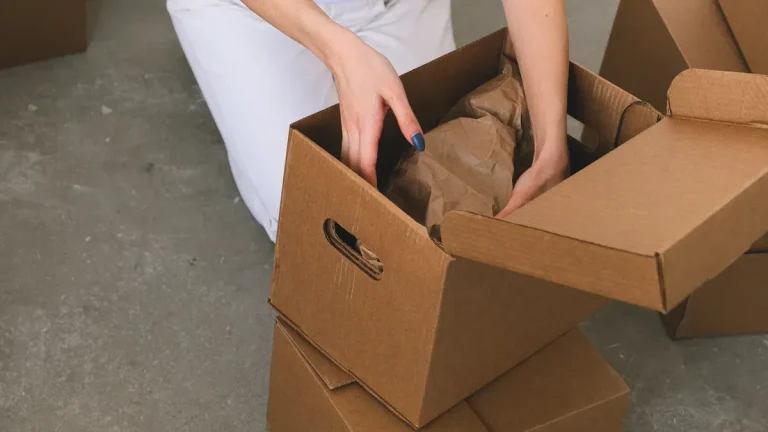 Plush Dog Toy Amazon FBA Path: From Design to FBA Warehouse
