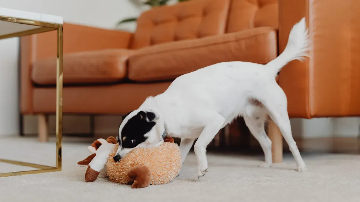 What Are Treat Dispensing Puzzle Toys